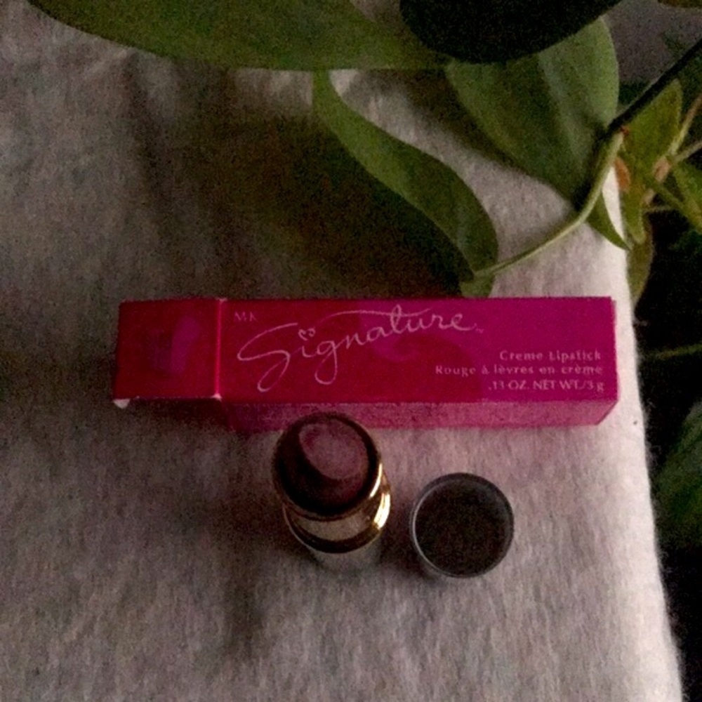 Mary Kay Signature Lipstick 💄 💋 Color: Redwood - Picture 3 of 4